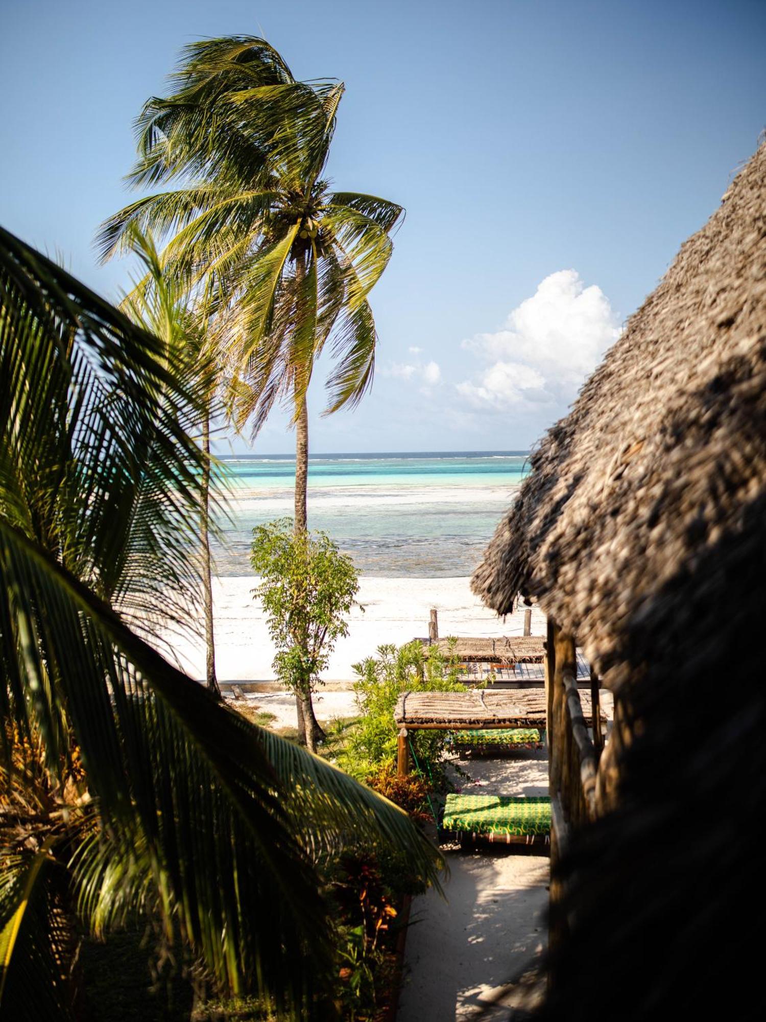 Shanuo Beach Bungalows Michamvi Kae Exterior photo